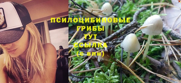 первитин Алексеевка